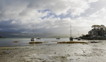   Tranquility by Ian Nicholls