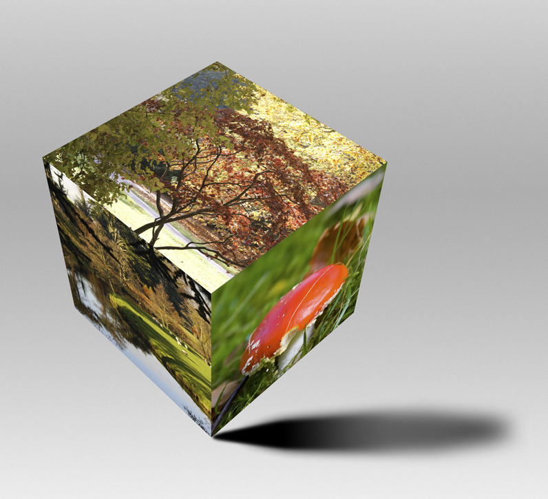 Peter Chittock - Autumnal Cube 