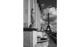   Paris by Wendy Harvey. 