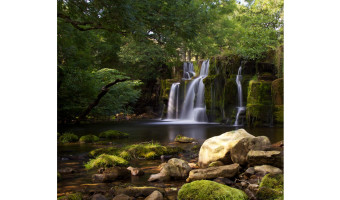 3rd Oregate Falls by Sue Eckersley 