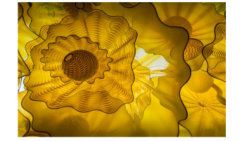   Runner up Yellow Glass by Ian Nicholls 