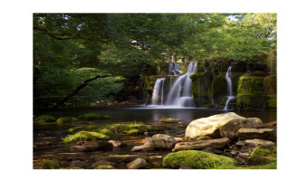   Oregate Falls by Sue Eckersley 