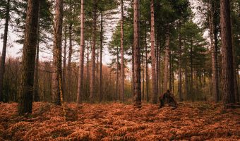 Timothy Atkinson - Tim Atkinson-2