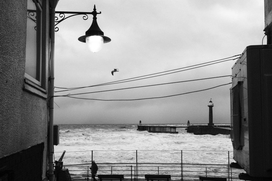 Timothy Atkinson - Tim Atkinson-7