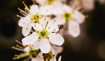 Timothy Atkinson - Tim Atkinson-8